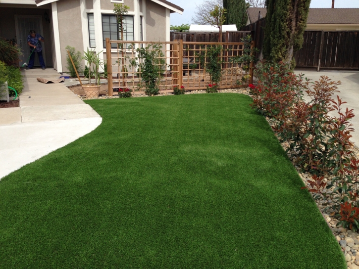 Fake Lawn Narrows, Virginia Landscape Ideas, Front Yard Design