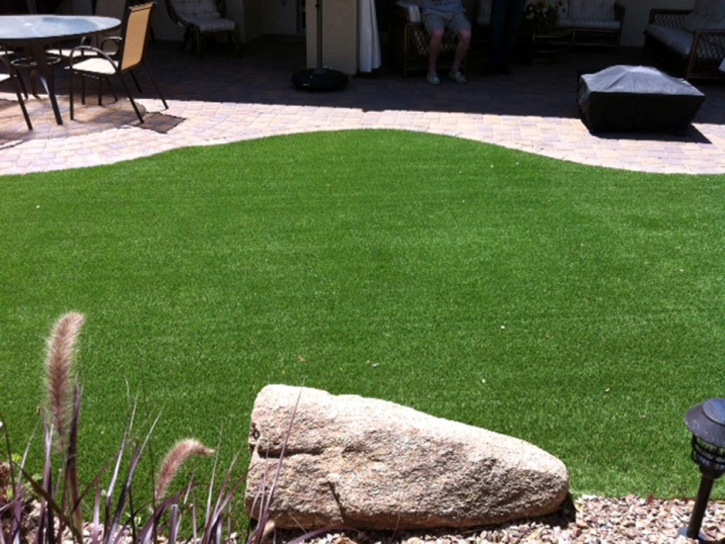 Fake Lawn Sussex, Virginia City Landscape, Backyard Landscape Ideas