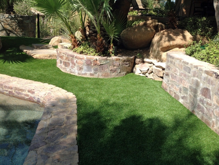 Artificial Turf Cost Mappsville, Virginia Dog Running, Front Yard Landscape Ideas