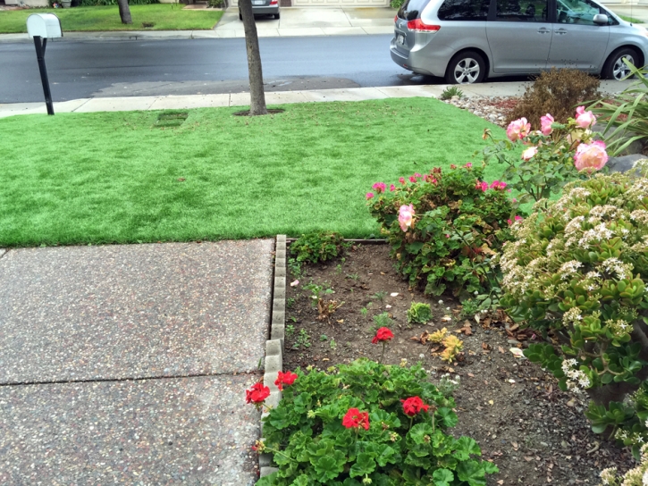 Fake Turf East Highland Park, Virginia Hotel For Dogs, Small Front Yard Landscaping