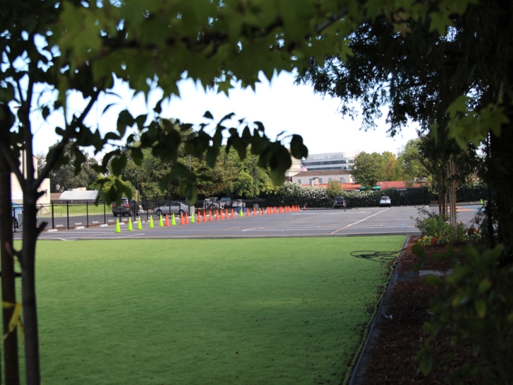 Fake Turf Pannill Fork, Virginia High School Sports, Commercial Landscape