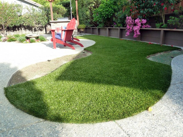 Faux Grass Chase City, Virginia Drainage, Backyard Designs