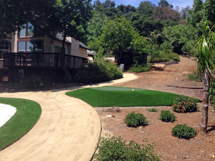 Faux Grass Countryside, Virginia Putting Green Turf, Front Yard Landscape Ideas