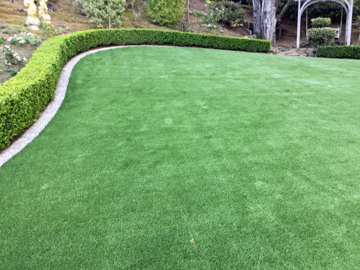 Faux Grass Fairlawn, Virginia Design Ideas, Backyard Landscaping Ideas