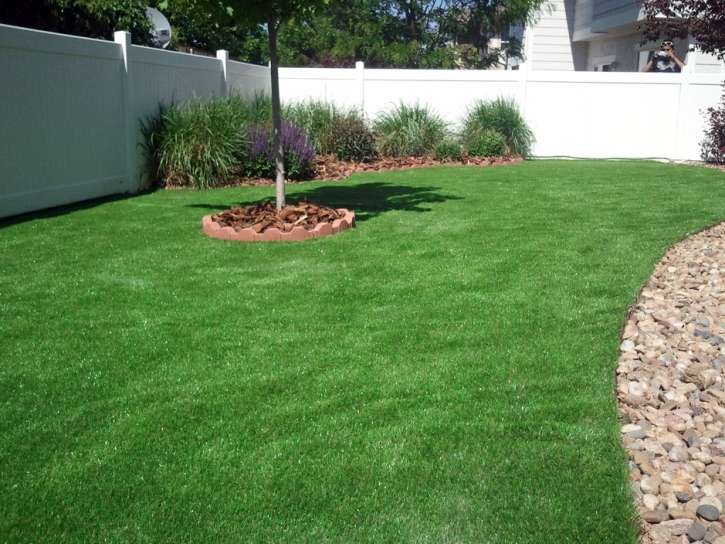 Faux Grass Jefferson, Virginia Landscaping, Backyard Landscaping