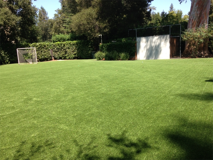 Grass Carpet Dendron, Virginia Softball, Backyard Design