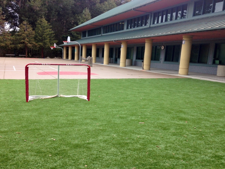 Grass Carpet Gratton, Virginia Backyard Sports, Commercial Landscape