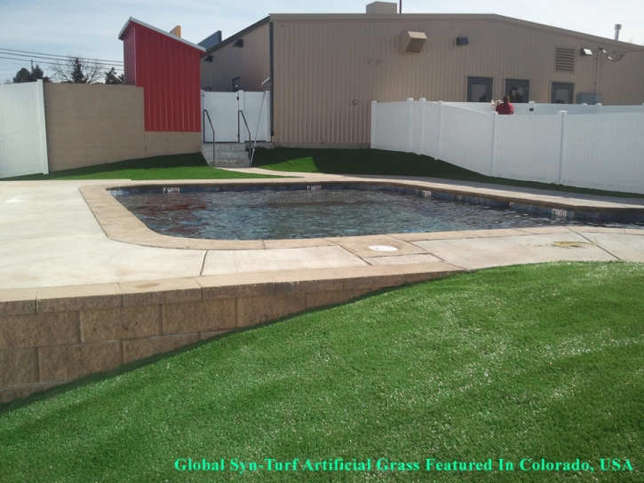 Grass Carpet Harrisonburg, Virginia Backyard Deck Ideas, Swimming Pools