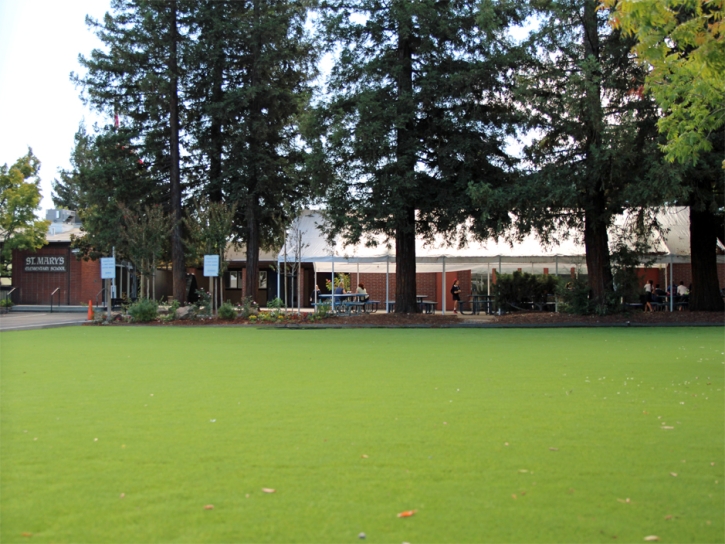 Grass Carpet Tysons Corner, Virginia Upper Playground, Recreational Areas