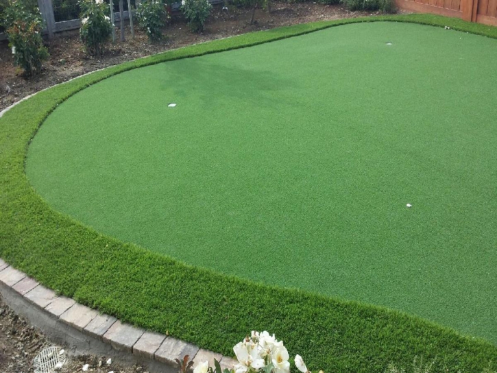 Grass Carpet Woodlake, Virginia How To Build A Putting Green, Backyard Landscaping Ideas