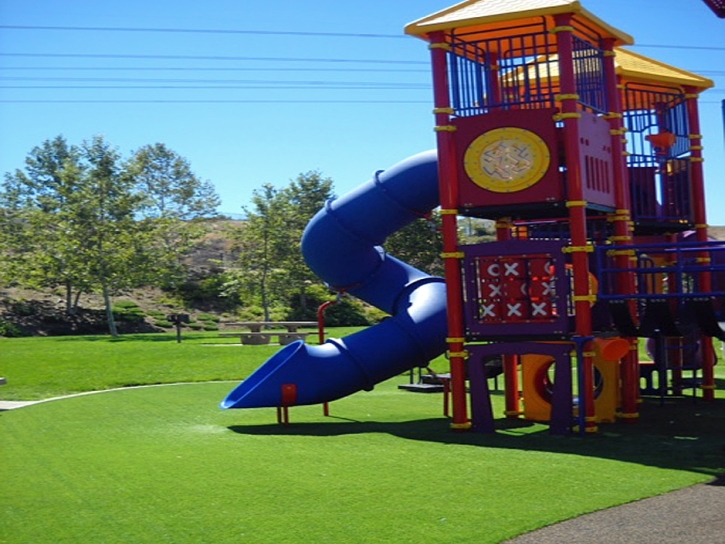 Grass Installation Hallwood, Virginia City Landscape, Recreational Areas