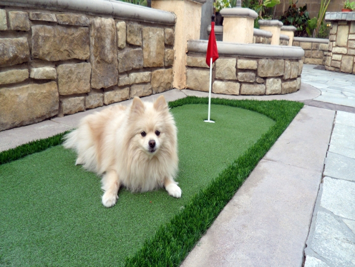 Grass Turf Broadway, Virginia Drainage, Backyard Designs