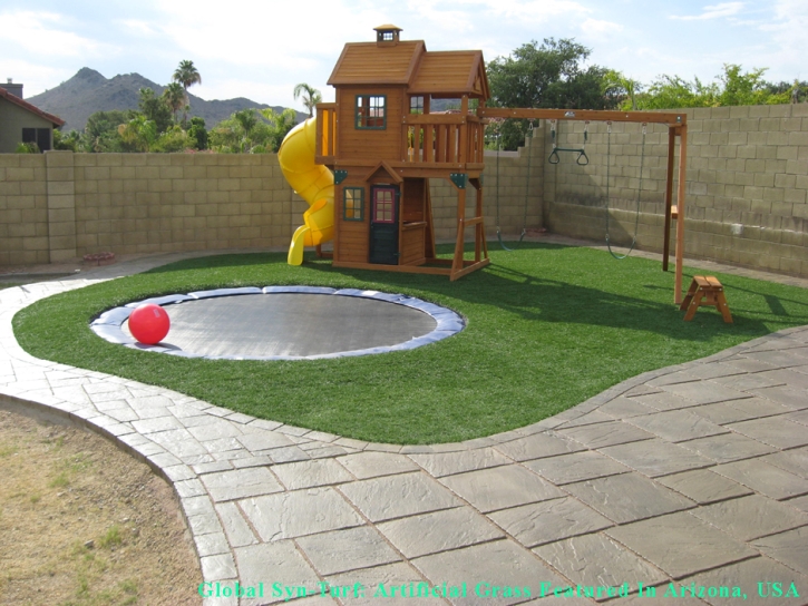 Grass Turf Centreville, Virginia Lawn And Garden, Backyard Designs