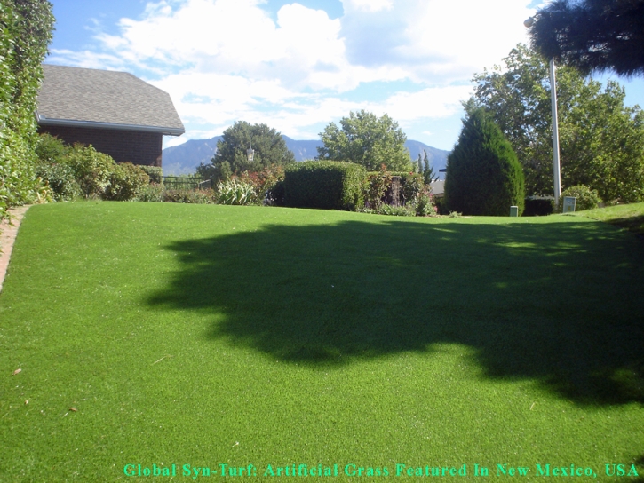 Grass Turf East Hampton, Virginia Garden Ideas, Small Backyard Ideas