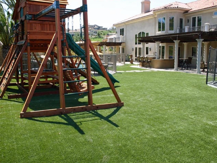 Grass Turf Farmville, Virginia Lawn And Landscape, Backyard Design