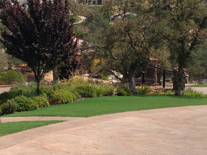 Green Lawn Gloucester Courthouse, Virginia Home And Garden, Commercial Landscape