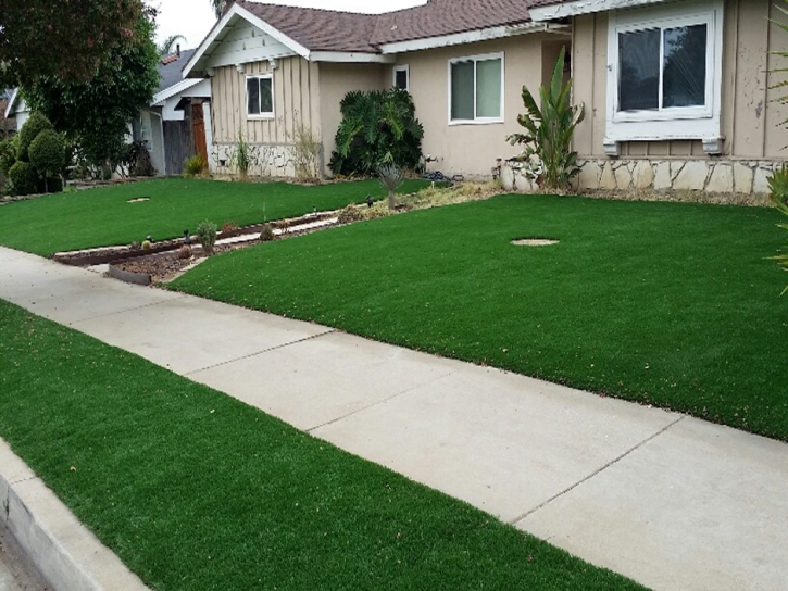 How To Install Artificial Grass Drakes Branch, Virginia Roof Top, Small Front Yard Landscaping
