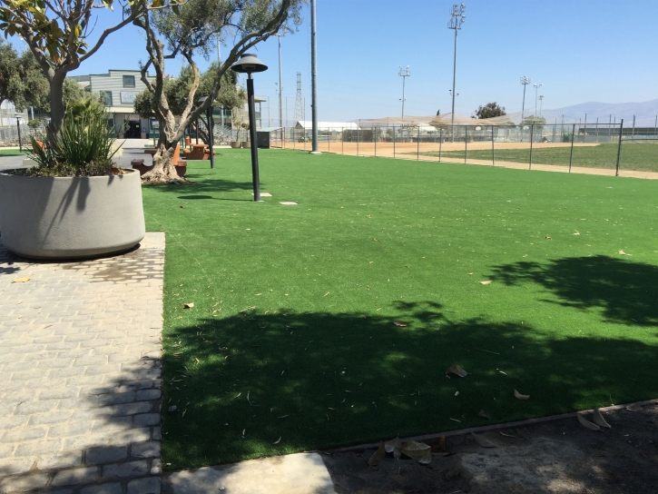Installing Artificial Grass Hampden Sydney, Virginia Home And Garden, Recreational Areas