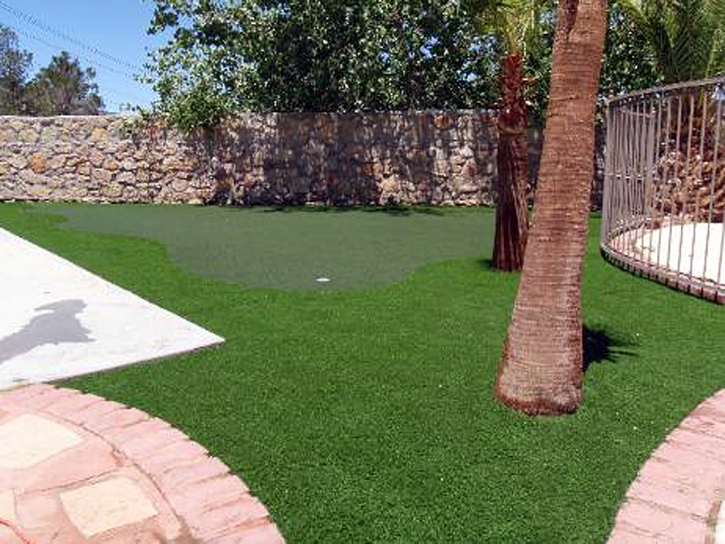 Outdoor Carpet Bon Air, Virginia Garden Ideas, Backyards