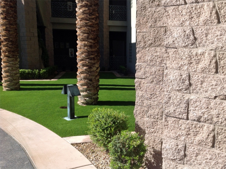 Grass Turf Belle Haven, Virginia Lawn And Garden, Front Yard Ideas