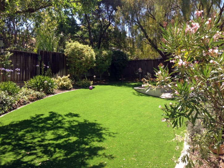 Outdoor Carpet Madison Heights, Virginia Rooftop, Backyard