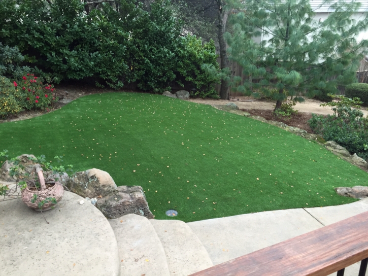 Plastic Grass Daleville, Virginia City Landscape, Beautiful Backyards