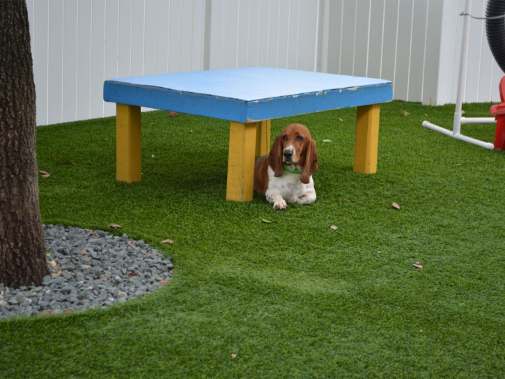 Plastic Grass Louisa, Virginia Dog Park, Dogs Park