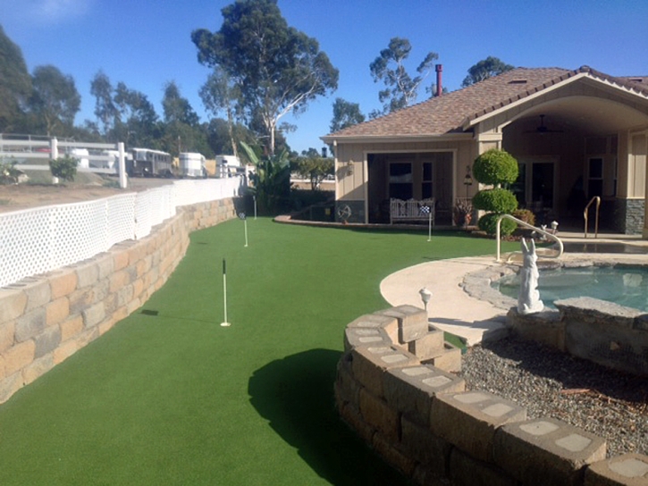 Plastic Grass Roanoke, Virginia Best Indoor Putting Green, Small Backyard Ideas