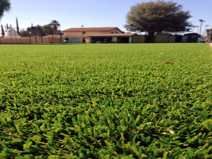 Plastic Grass Short Pump, Virginia Landscape Design