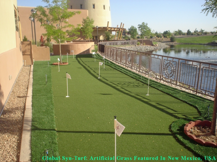 Synthetic Grass Arlington, Virginia Gardeners, Beautiful Backyards