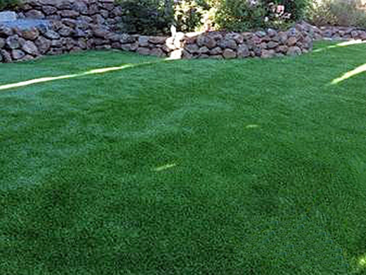 Synthetic Grass Captains Cove, Virginia Grass For Dogs, Backyard Landscaping Ideas