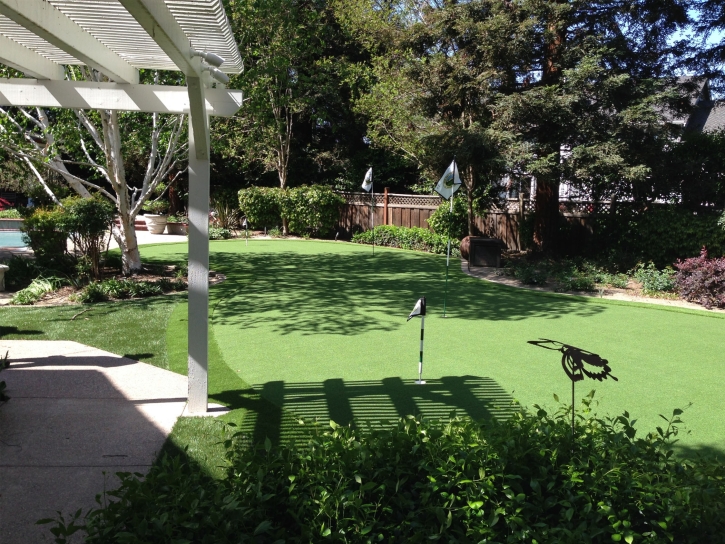 Synthetic Grass Chilhowie, Virginia Lawn And Landscape