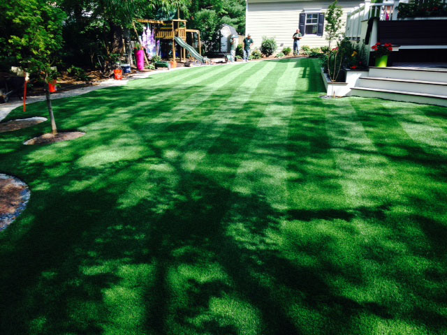 Synthetic Grass Concord, Virginia Backyard Playground, Backyards