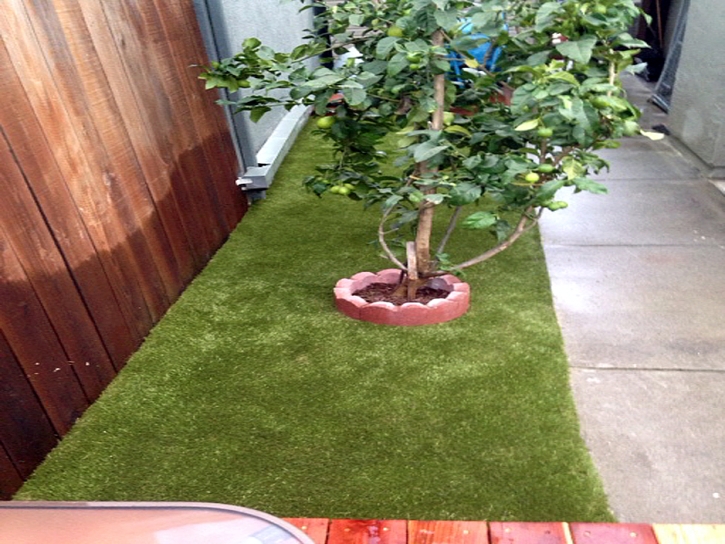 Synthetic Grass Cost Bealeton, Virginia Lawn And Garden, Backyard Ideas