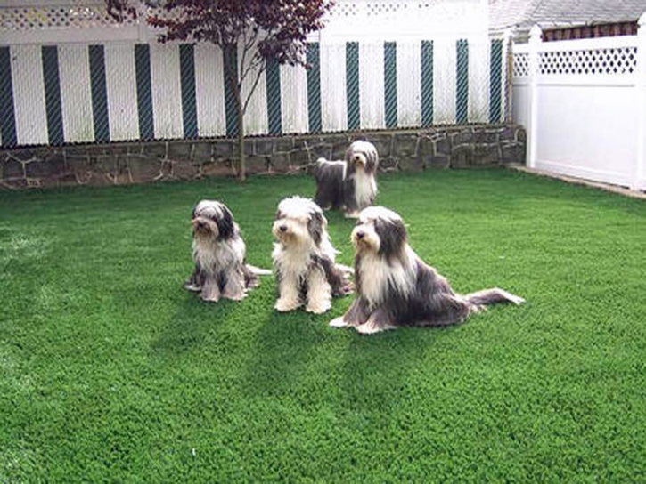 Synthetic Grass Cost Draper, Virginia Lawn And Landscape, Backyard Design