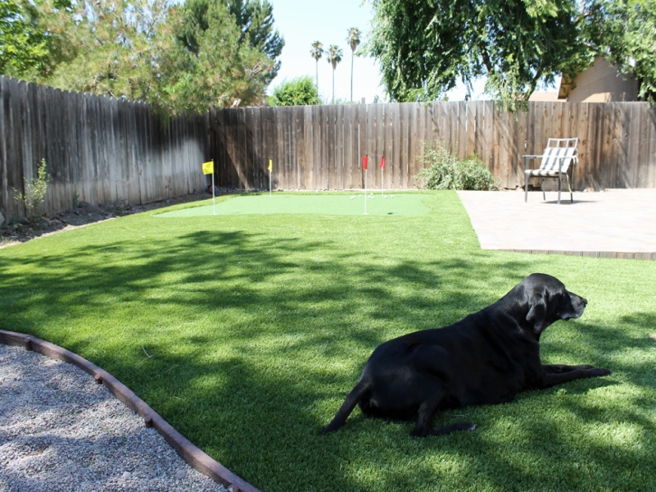 Synthetic Grass Dublin, Virginia Dog Running, Backyard Makeover