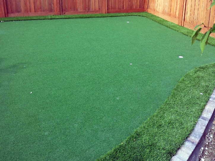 Synthetic Grass Fredericksburg, Virginia Landscape Photos, Backyard Landscaping Ideas