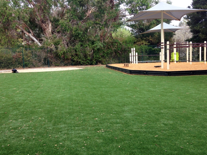 Synthetic Grass Occoquan, Virginia Athletic Playground