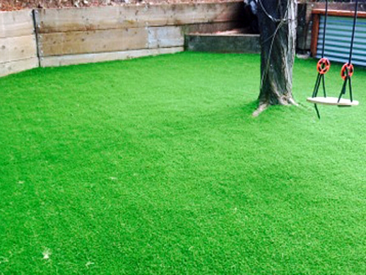 Synthetic Grass Shenandoah Shores, Virginia Kids Indoor Playground, Backyard Landscape Ideas