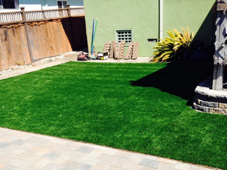 Synthetic Lawn Blairs, Virginia Lawn And Landscape, Backyard Designs