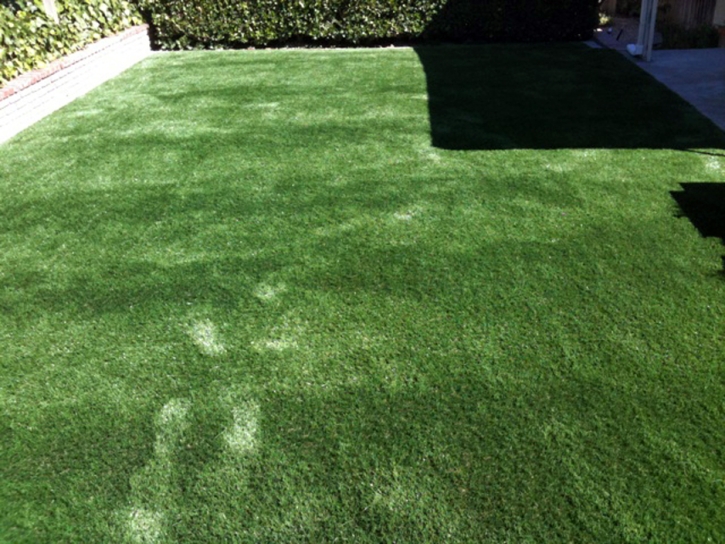 Synthetic Lawn Bobtown, Virginia Pet Grass, Backyards