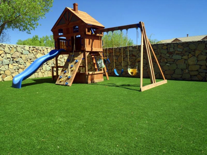 Synthetic Lawn Glasgow, Virginia Gardeners, Small Backyard Ideas