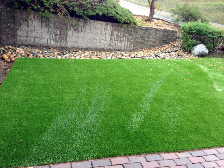 Synthetic Lawn New Church, Virginia Rooftop, Backyard Landscape Ideas