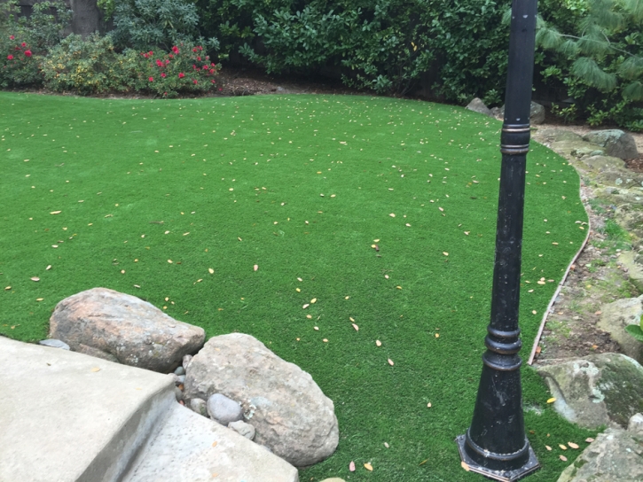 Synthetic Lawn Ravensworth, Virginia Lawn And Garden, Beautiful Backyards