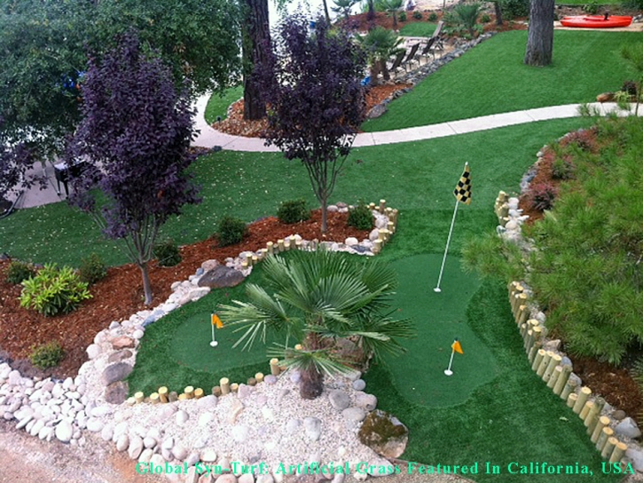 Synthetic Lawn Virginia Beach, Virginia Outdoor Putting Green, Backyard Designs