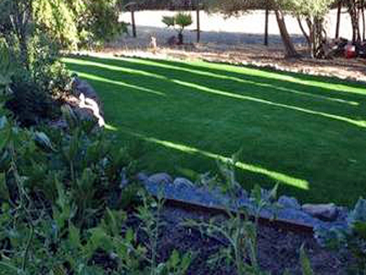 Synthetic Turf Benns Church, Virginia Garden Ideas, Backyards