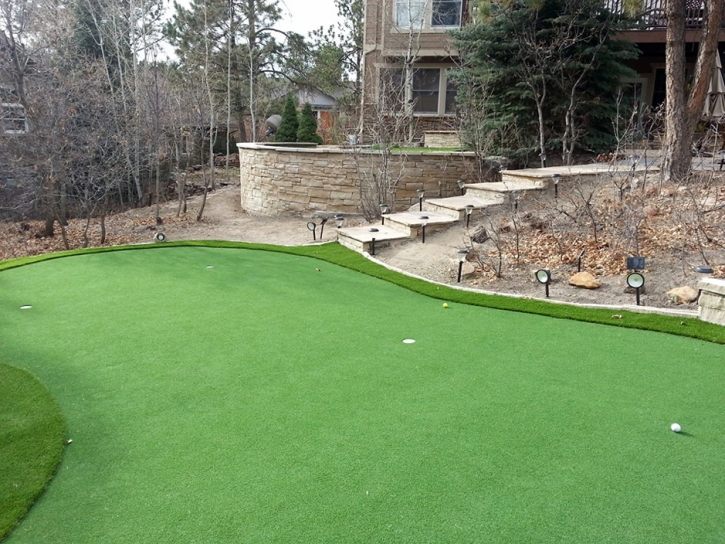 Synthetic Turf Buena Vista, Virginia Rooftop, Backyard Design