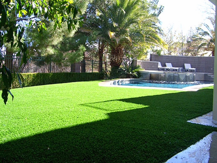 Synthetic Turf Massanutten, Virginia Gardeners, Backyard Garden Ideas