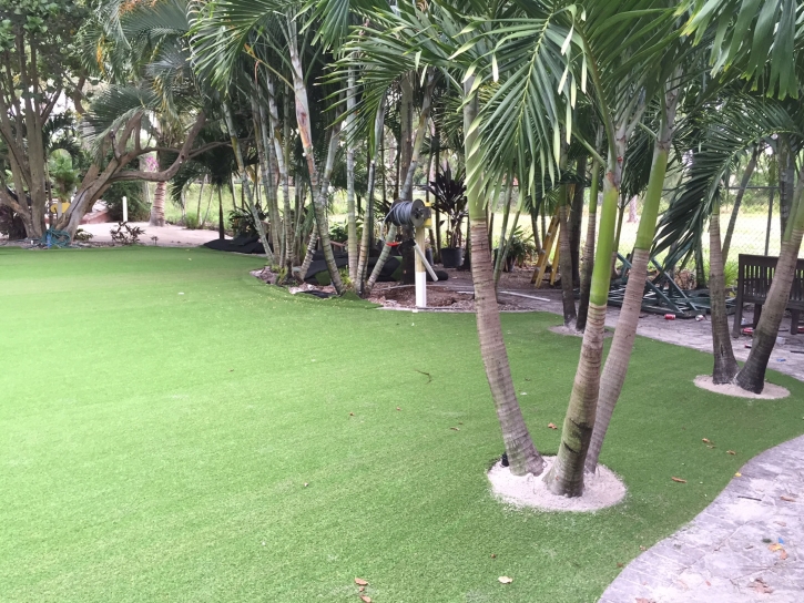 Synthetic Turf Supplier Appomattox, Virginia Design Ideas, Commercial Landscape