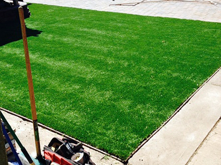 Synthetic Turf Supplier Cluster Springs, Virginia Landscape Design